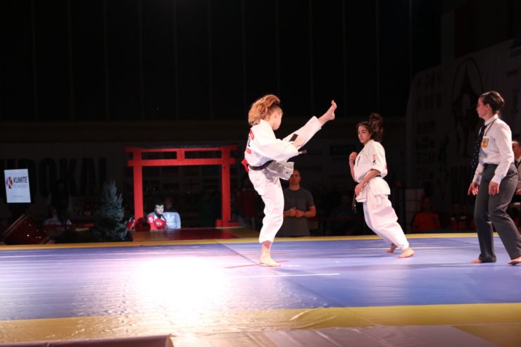 Mistrzostwa i Puchar World Kyokushin Budokai w kumite,  Debica 23-24.11.2019
